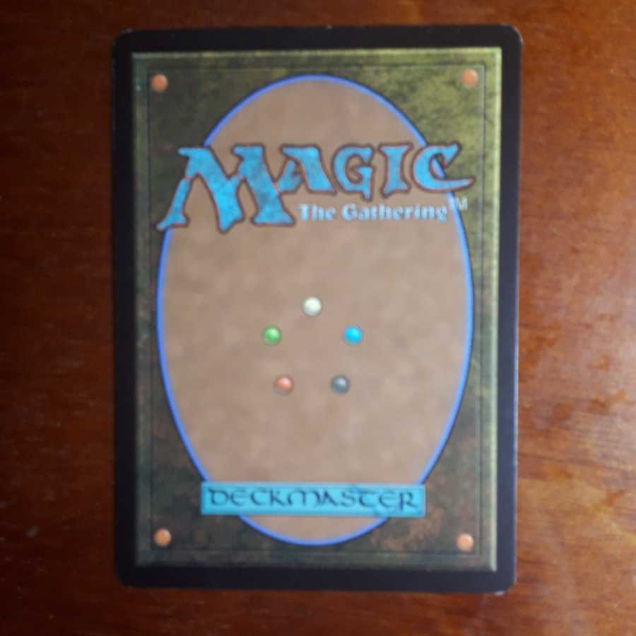 溢れかえる岸辺