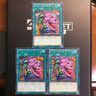 強欲で貪欲な壺 シークレットレア 3枚