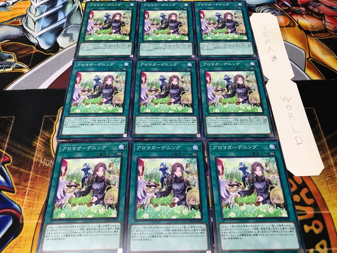 アロマガーデニング ノーマル 9枚セット てら