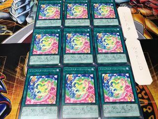 トリックスター・フュージョン ノーマル 9枚セット てら