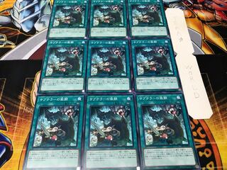 サブテラーの激闘 ノーマル 9枚セット てら