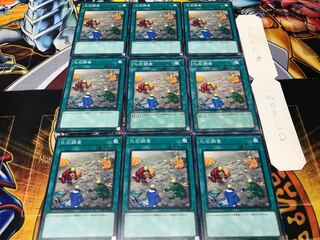 化石調査 ノーマル 9枚セット てら