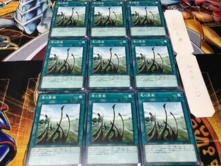 竜の霊廟 ノーマル 9枚セット てら