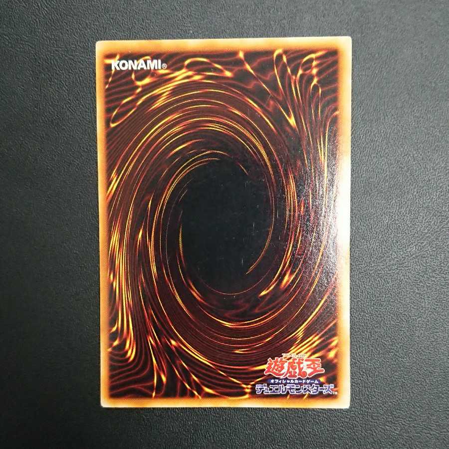 Lord of Dragons - Ruler of Dragons - Secret