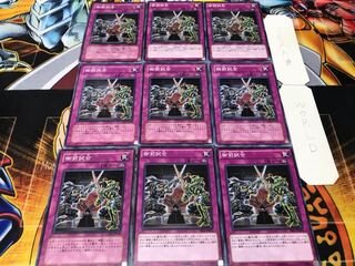 御前試合 ノーマル 9枚セット てら