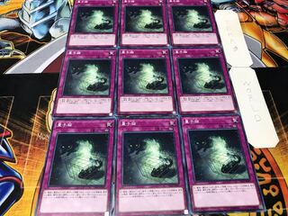 量子猫 ノーマル 9枚セット てら