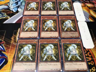 Ryko, Lightsworn Hunter Normal, set of 9, Terra