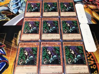 黒き森のウィッチ ノーマル 9枚セット てら