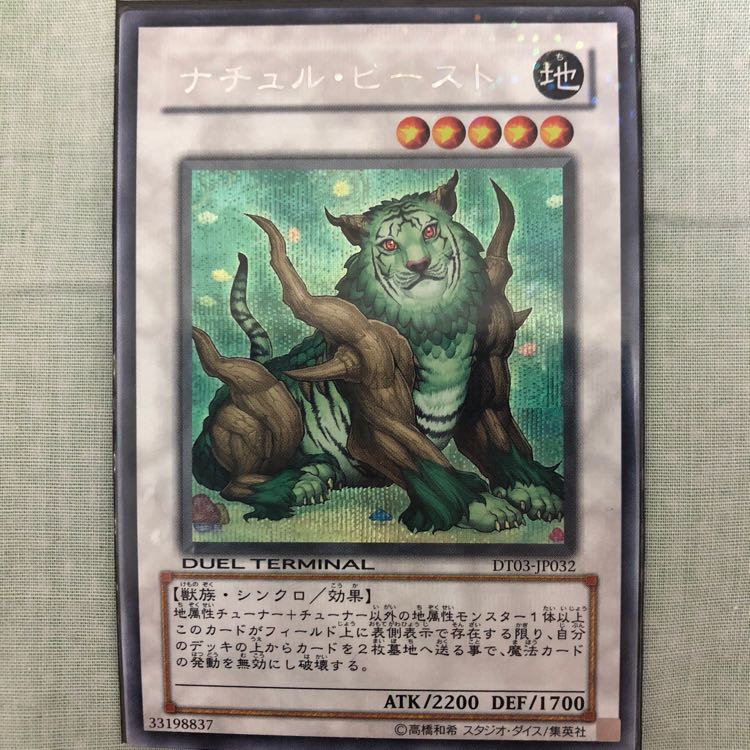 ナチュルビースト シク 1枚
