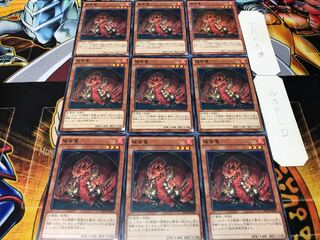 破面竜 ノーマル 9枚セット てら