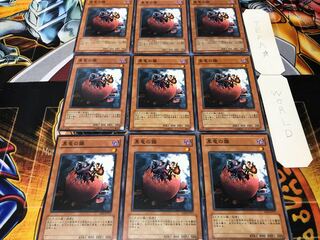 黒竜の雛 ノーマル 9枚セット てら