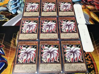 Nine-Tailed Fox Normal 9-piece set, Terra