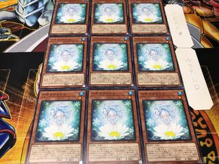 六花のひとひら ノーマル 9枚セット てら