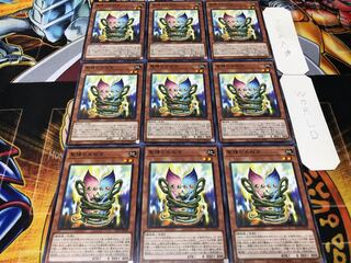 Sunseed Twin Normal, set of 9, Tera