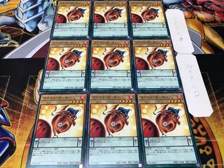 マイルド・ターキー 17PR ノーマル 9枚セット てら