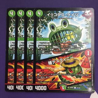 イッコダス・ケイジ｜種デスティニー R