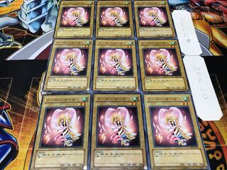 Harpie Girl Normal 9-piece set Tera