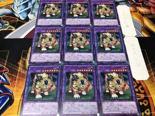 Amazoness Pet Liger Normal Set of 9 Tera