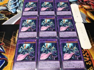 月光舞豹姫 ノーマル 9枚セット てら