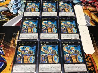 十二獣タイグリス ノーマル 9枚セット てら