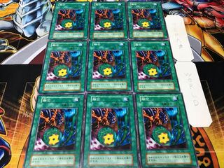 融合 初期 ノーマル 9枚セット てら