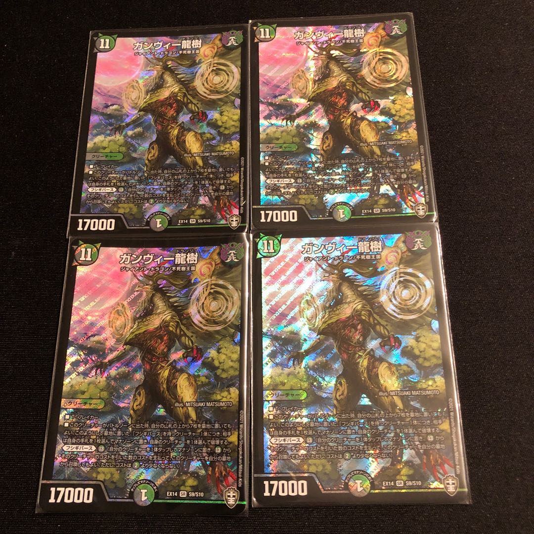 ガンヴィー龍樹