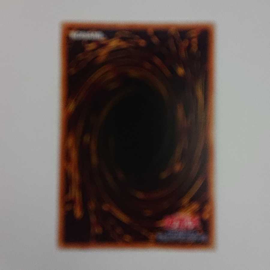 HULKSショップ様専用 1枚