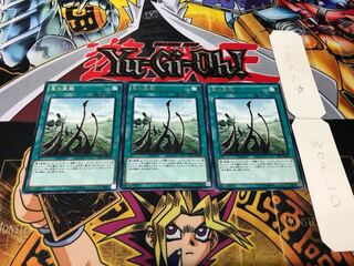 竜の霊廟 レア 3枚セット てら