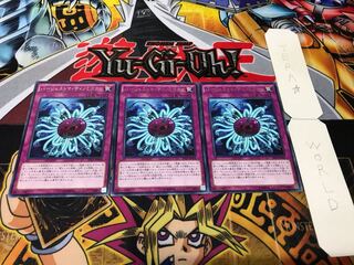 バージェストマ・ディノミスクス EP16 レア 3枚セット てら