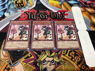 Madolche Messengelato Rare, Set of 3, Terra