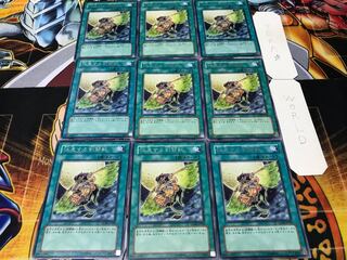 休息する剣闘獣 レア 9枚セット てら