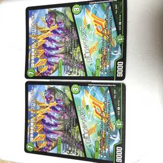 闘争類拳嘩目 ステゴロ・カイザー｜お清めシャラップ 2枚R