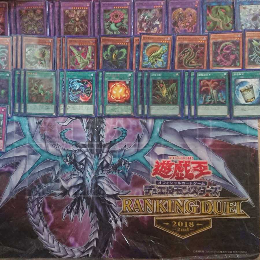 遊戯王 引退 サブテラー 補食植物 閃刀姫 ニビル アクセスコードトーカー 魔鍵