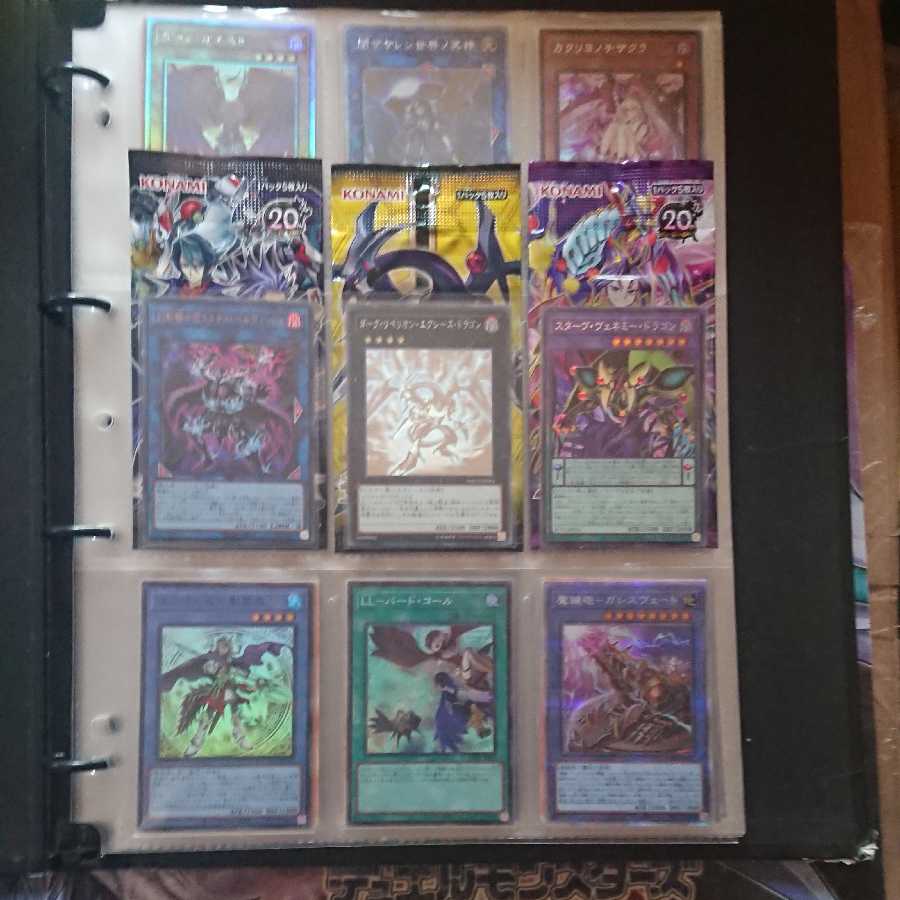 遊戯王 引退 サブテラー 補食植物 閃刀姫 ニビル アクセスコードトーカー 魔鍵