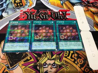 武装鍛錬 ノーマルパラレル 3枚セット てら