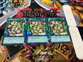 魔法族の里 ノーマルパラレル 3枚セット てら