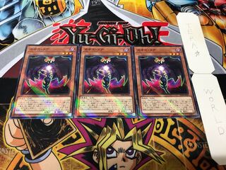 カオス・コア ノーマルパラレル 3枚セット てら