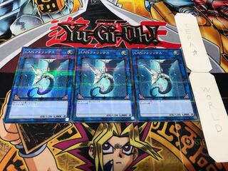 LANフォリンクス ノーマルパラレル 3枚セット てら