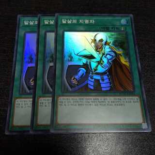 抹殺の指名者 スーパーレア　韓国版