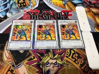 奈落 様 専用 1枚