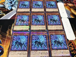 クラインアント ノーマルパラレル 9枚セット てら