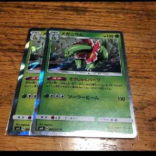 メガニウム 一枚