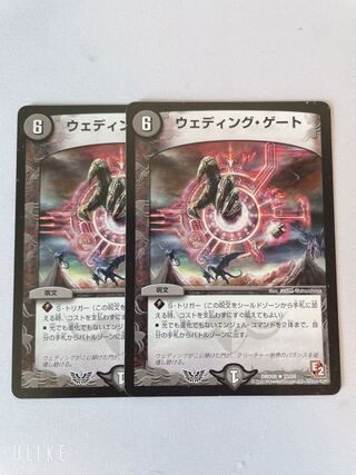 ウェディング・ゲート 2枚