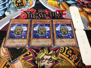 ハネクリボー デュエルターミナル 3枚セット てら