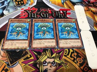 霞の谷の風使い デュエルターミナル 3枚セット てら