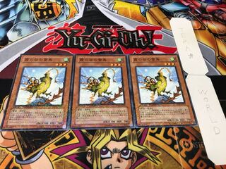 霞の谷の雷鳥 デュエルターミナル 3枚セット てら