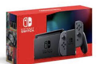 ニンテンドーSwitch グレー