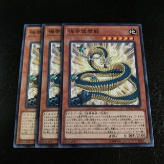 弾帯城壁龍 ノーマル