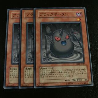 ブラックポータン ノーマル