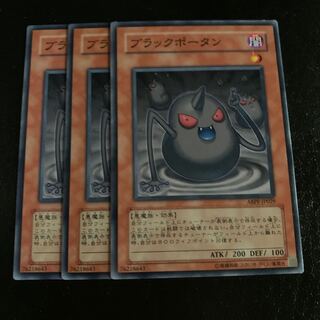 ブラックポータン ノーマル